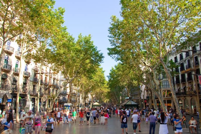 El apartado de arquitectura y cultura es el más valorado por los turistas, con un 8,8 sobre 10. El apartado de arquitectura y cultura es el más valorado por los turistas, con un 8,8 sobre 10.